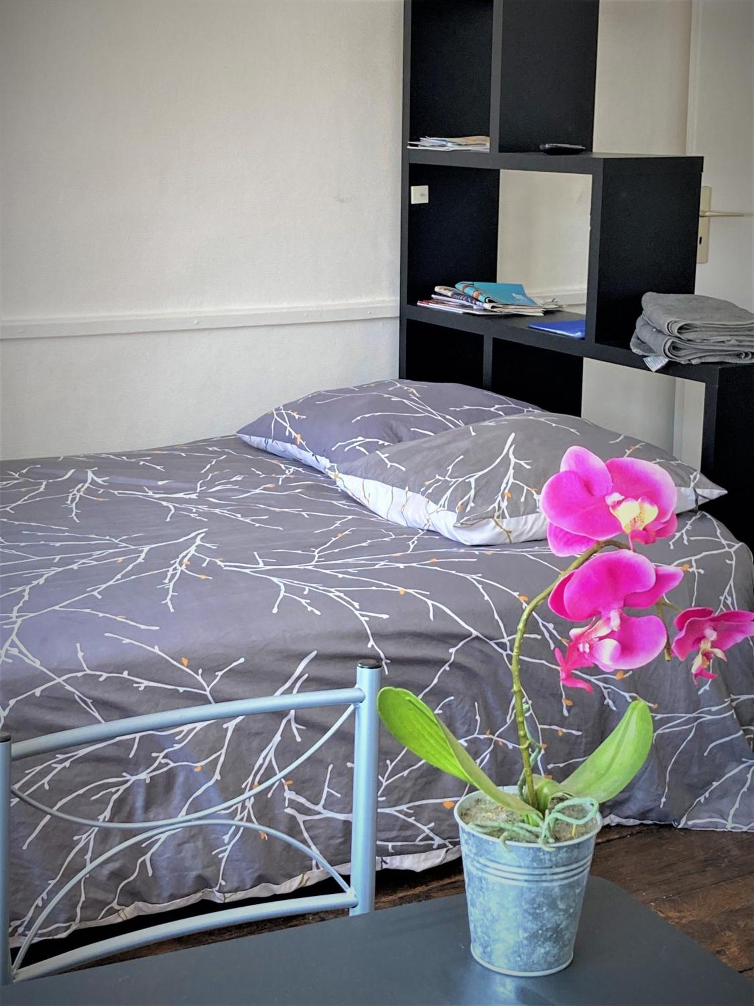Studio Double 31 Centre De Limoges Wifi ภายนอก รูปภาพ